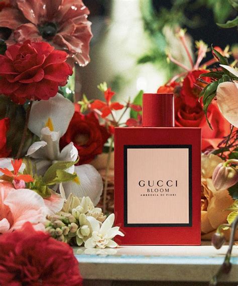 bloom gucci composition|gucci blooms collection.